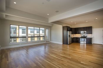 Kitchen and living room
